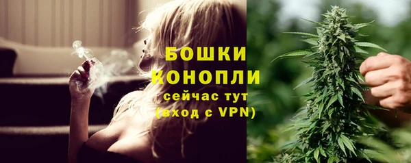 СК Няндома