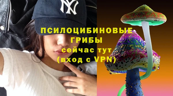 дмт Нягань
