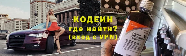 дмт Нягань