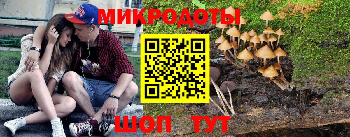 Кузнецк  Псилоцибиновые грибы Psilocybine cubensis  Вход с VPN  Псилоцибиновые грибы GOLDEN TEACHER 